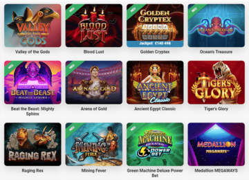 Ein paar Slots im Leo Vegas Casino